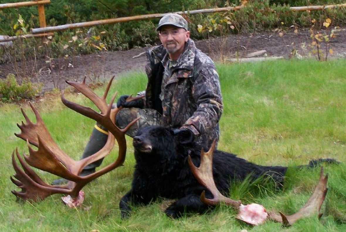 Moose Hunt Rates Newfoundland Canada